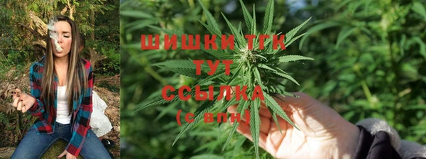 дмт Нязепетровск