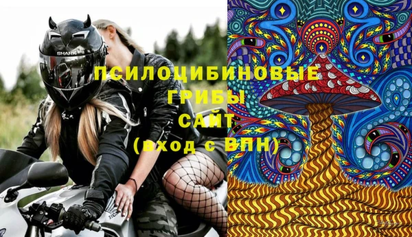дмт Нязепетровск