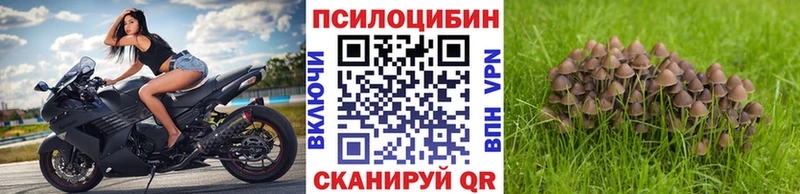Псилоцибиновые грибы Cubensis  Малаховка 